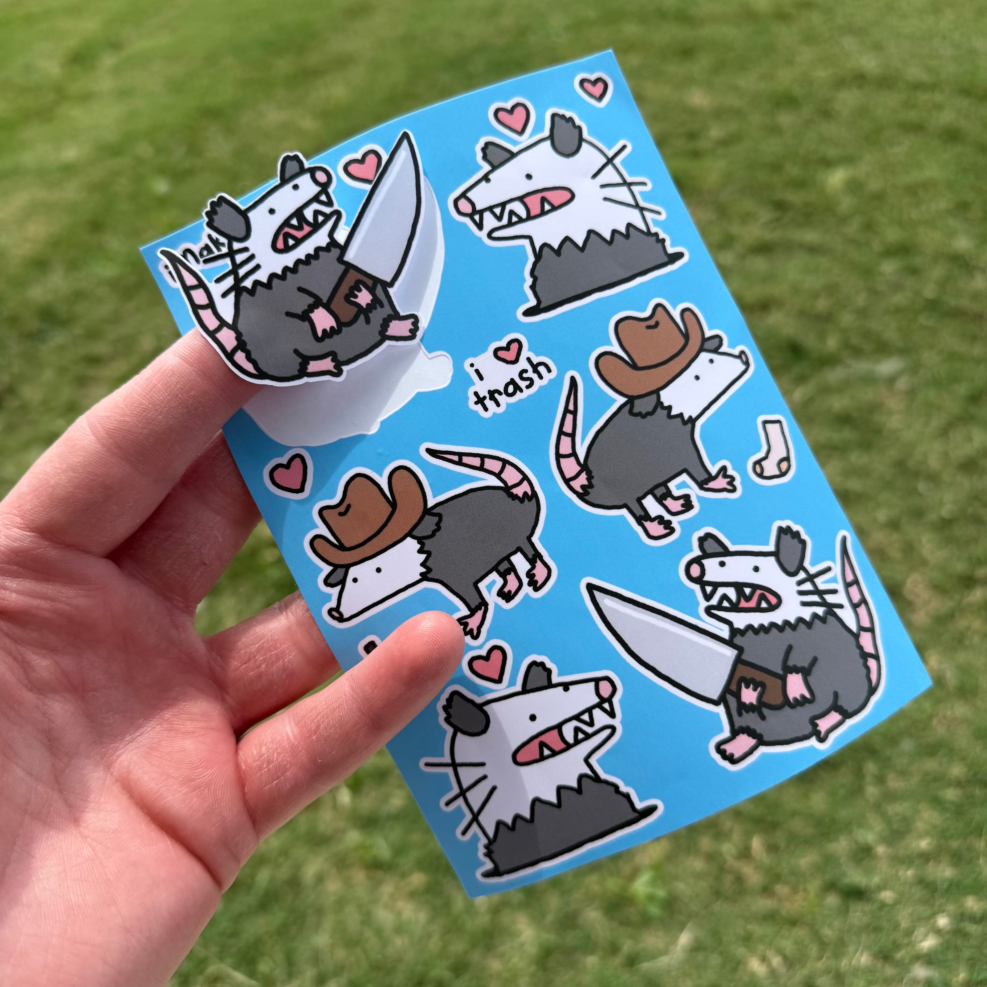 Possum Sticker Sheet💗🗑️