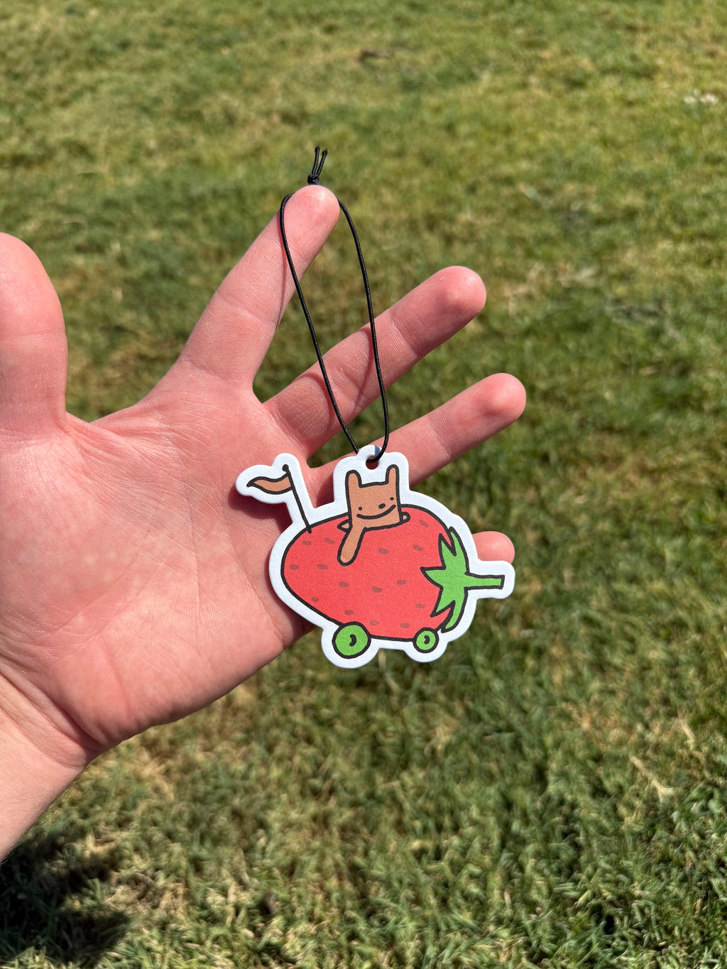 Bear Air Fresheners!🍓🍌🍎